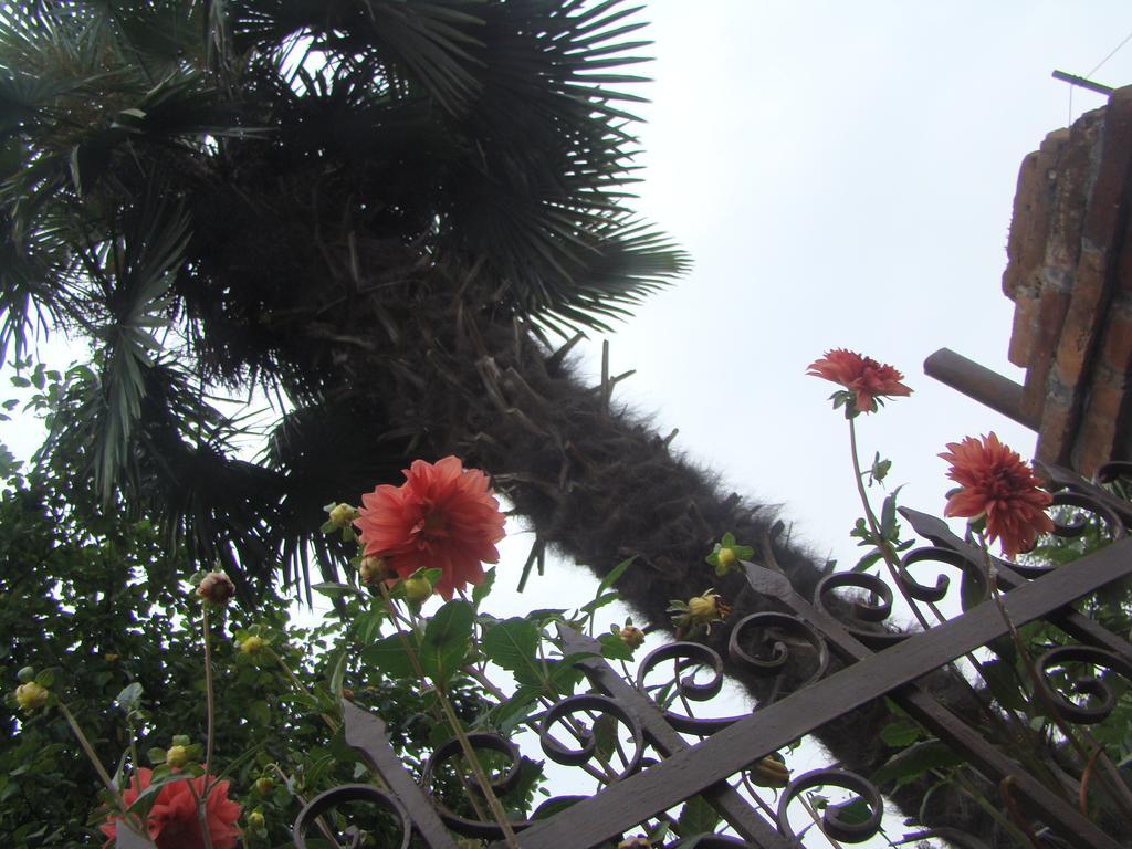 Guest House Temuri Batumi Exterior photo