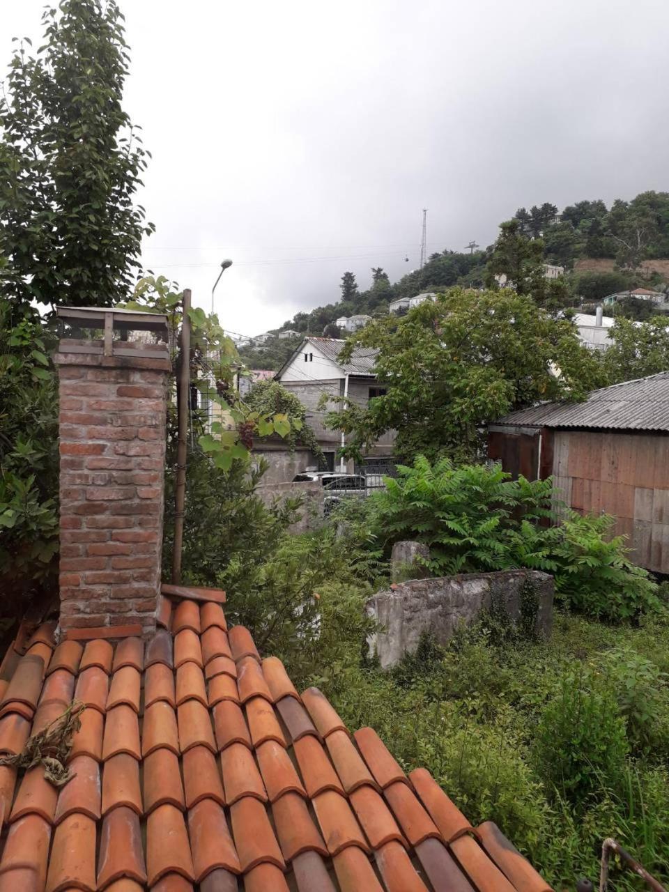 Guest House Temuri Batumi Exterior photo